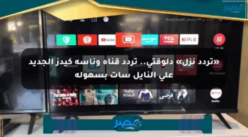 «تردد نزل» دلوقتي.. تردد قناة وناسة كيدز الجديد على النايل سات بسهولة